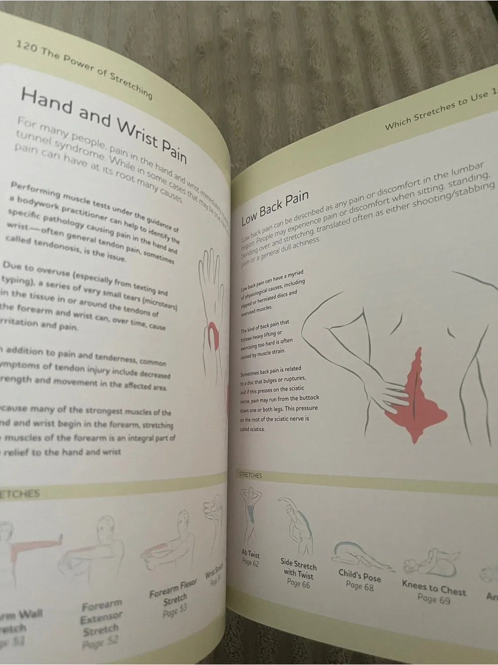 The Power of Stretching: Simple Practices to Promote Wellbeing
